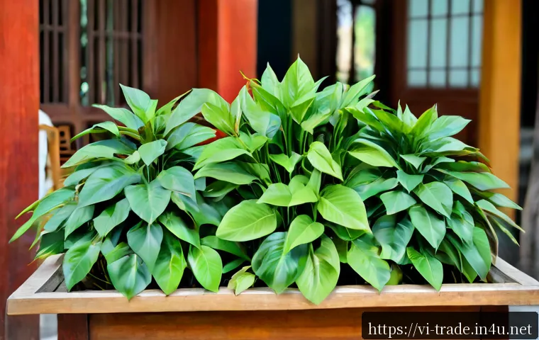 Có chứng chỉ nghiệp vụ thương mại quốc tế thì làm nghề gì? Lộ trình vào ngành xuất nhập khẩu và cách chọn kỹ năng đáng đầu tư 4 국제무역사 자격증 취득 후 커리어 관련 이미지 2